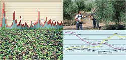 Artificial Intelligence to Predict the Price of Olive Oil